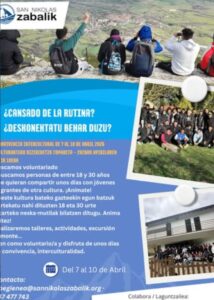 cartel voluntariado
